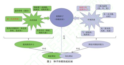 物聯網技術研發 賦能2021年生物技術新突破